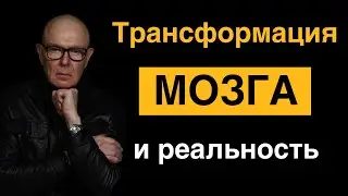 Новый мозг — новая жизнь