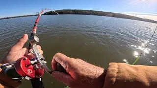 The Bite is On!  Going After Monsters at Fishing Creek Lake!