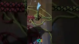 Genius Rope Trick Beginners Wish They Knew Sooner! very easy. #lifehacks #tips