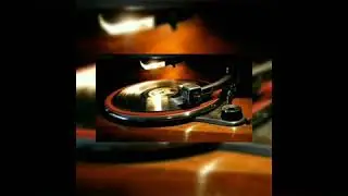 Johnsei - This is how I am