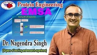 Electrophoretic Mobility Shift Assay | EMSA | Gel Retardation Assay | Gel Shift Assay | PENS#91