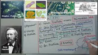 BIOLOGY XI | NEET | BIOLOGICAL CLASSIFICATION | INTRODUCTION TO KINGDOM PROTISTA | Detailed