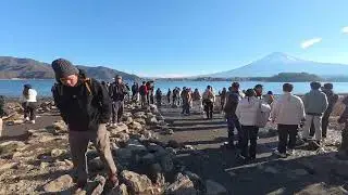 Beautiful Scenery at Oishi Park | Mt. Fuji and Lake Kawaguchi