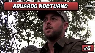 AGUARDO NOCTURNO #6 | EULALIO CANTERO