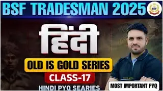 BSF Tradesman Hindi Classes 2025 | Previous Year Questions | Set-17
