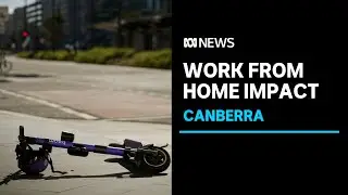 How Canberra businesses are coping as public servants return to working from home | ABC News