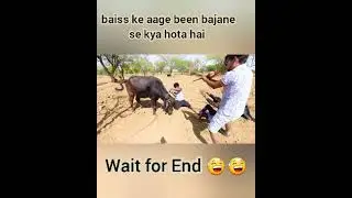 beiss ke aage been bajane se kya hota hai mr indian hacker short experiment S.D 072