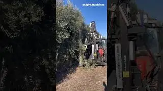 Pruning Machine BGP 3000 For Orchards || Made By Vimar Equipos Spain || #shorts