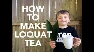 Loquat Tea Time! // DIY