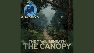 The Trail Beneath The Canopy
