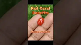 Benefits of Red Coral Stone | Marjan Pathar ky Fayde #gemstone#naturalgemstones #coralstone