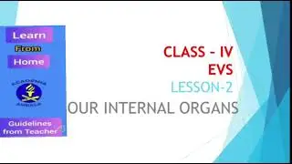 CLASS IV / EVS / LESSON-2  OUR INTERNAL ORGANS ( MODULE- 1)