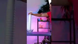 🧪 Splash-tastic Science Fun: Soap & Water Experiments!