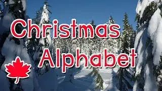 Christmas Alphabet (z = zed)