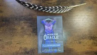 🌟Southern Gothic Oracle by Stacey Williams-Ng🌟