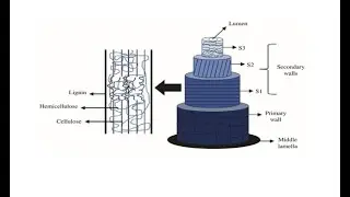 Short Staple Spinning Unit No II  Spinning Values Of Cotton Fibre