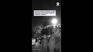 Costumed trio terrorizes family, tries to break into home