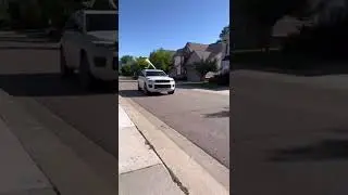 SNAPPY GETS RUN OVER BY A CAR #shorts