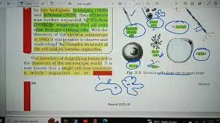 #2Unicellular vs Multicellular
