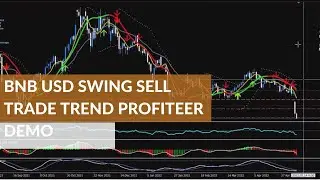 BNB USD Swing Sell Trade Trend Profiteer Trading By Michael Nurok Demo