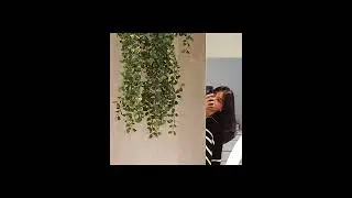 untitled - rex orange county