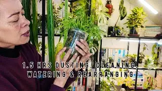 Rearranging, Watering No drainage & Semi Hydro Plants + Updates Good & Bad 