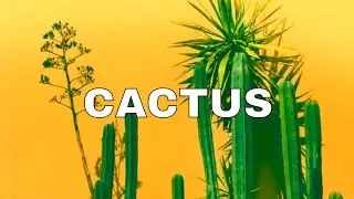 Travis Scott x Quavo x Drake Type Beat Instrumental 2019 