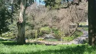 Relaxing Nature, Relaxing Music: A Winter Walk in Two Parks, Shared Through My Photography