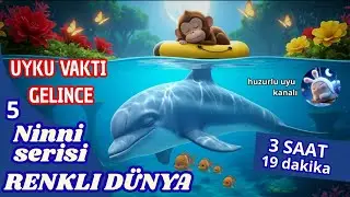 3 saat ninni - Renkli D&uuml;nya
