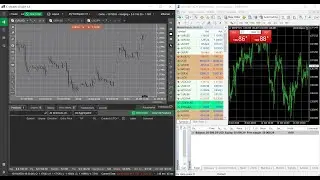 Copying from cTrader to MetaTrader 4 and from MetaTrader 4 to cTrader with cMAM