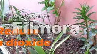 PORTUGAL - 10 Ways to reduce Global Warming