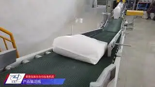 Zengran Packaging Customer Case--Chemical industry automatic packaging and robotic palletizing