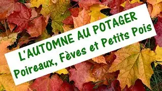 QUE FAIRE AU POTAGER EN AUTOMNE / Poireaux, F&egrave;ves et Petits Pois