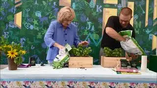 Summer@RPL Herb Gardening, with State Senator Judy Schwank