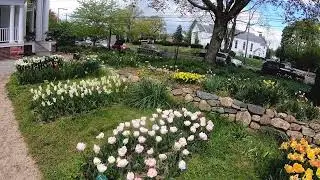 Exploring Colorblends House & Spring Garden 2023