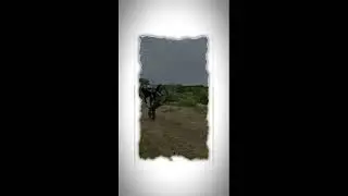 https://t.me/stuntteam32