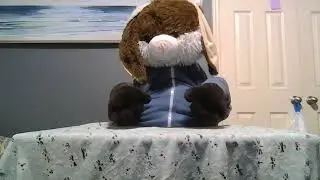 Mocha Latte - Fursuit Handpaws Test