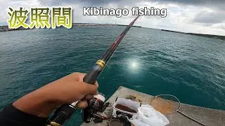 波照間で魚を釣って捌く【沖縄釣り】【スルルー】#021fukase fishing, Doublespotted queenfish