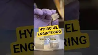 Jelly ice cubes for eco-friendly cold storage | Headline Science