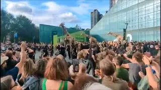 The Herds- Manchester City Centre (2025)