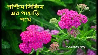 Hee Bermiok Tour | West Sikkim Tourist Places | Offbeat Sikkim