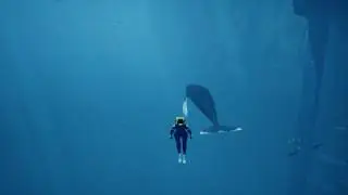 Abz&ucirc;: swimming with humpback whales