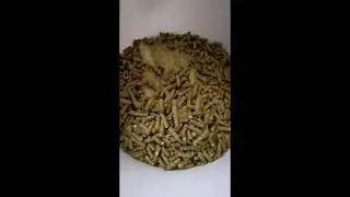 Ritlee feed video