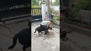 Behavoir change