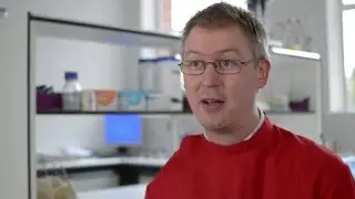Superchilling to improve quality and shelf-life | Campden BRI