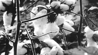 Blues Maker (1969)