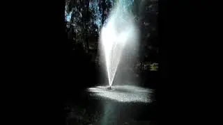 2012 Zoo Spingbrunnen 1