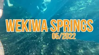 Wekiwa Springs State Park Florida | Swimming & Nature Escape (2022)