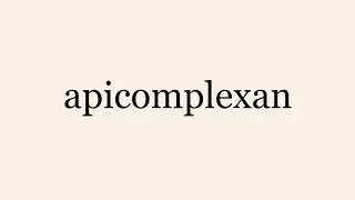 apicomplexan