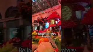 One of the best free things to do in Las Vegas!